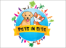 PETS IN SITE - עיצוב לוגו לאפליקציה